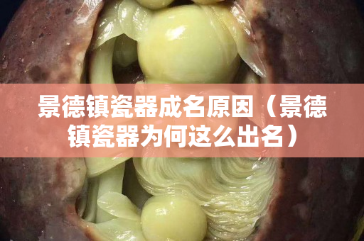景德鎮瓷器成名原因（景德鎮瓷器為何這么出名）