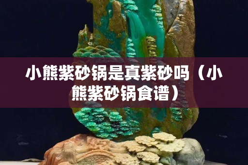 小熊紫砂鍋是真紫砂嗎（小熊紫砂鍋食譜）