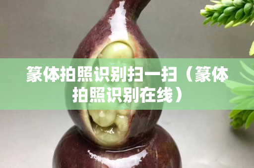 篆體拍照識(shí)別掃一掃（篆體拍照識(shí)別在線）