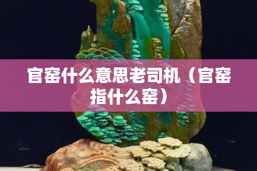 官窯什么意思老司機(jī)（官窯指什么窯）