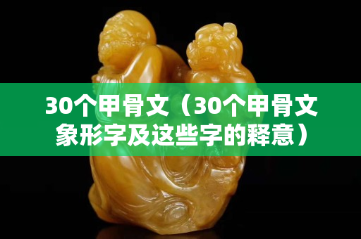 30個甲骨文（30個甲骨文象形字及這些字的釋意）