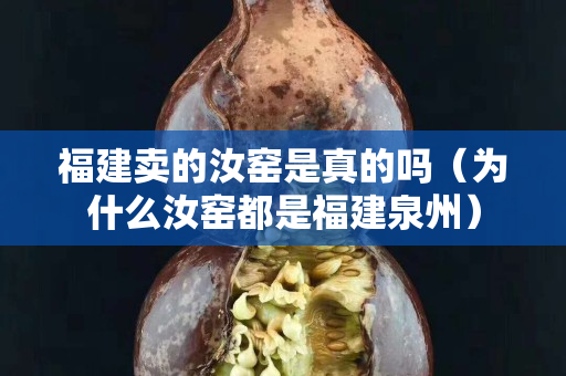 福建賣的汝窯是真的嗎（為什么汝窯都是福建泉州）