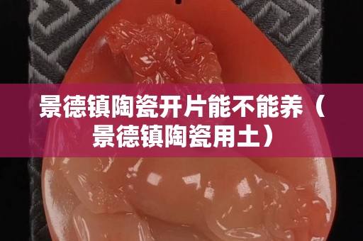 景德鎮陶瓷開片能不能養（景德鎮陶瓷用土）