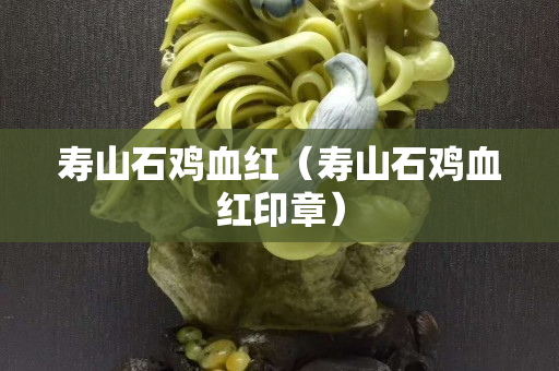 壽山石雞血紅（壽山石雞血紅印章）