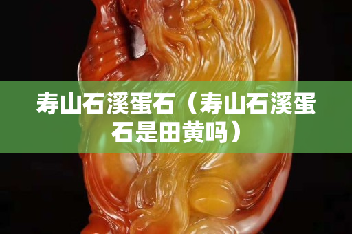 壽山石溪蛋石（壽山石溪蛋石是田黃嗎）