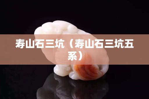 壽山石三坑（壽山石三坑五系）