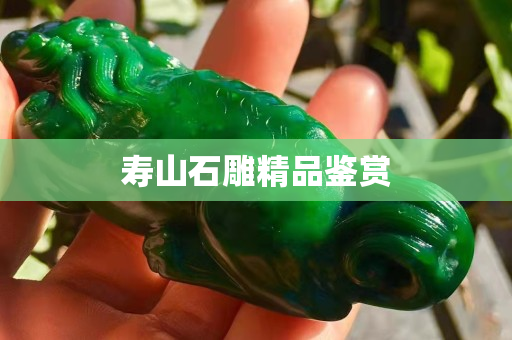 壽山石雕精品鑒賞