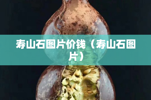 壽山石圖片價錢（壽山石圖片）