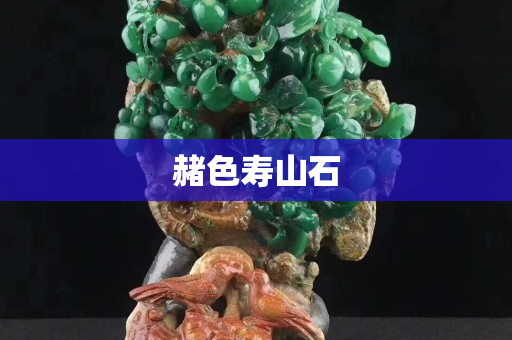 赭色壽山石