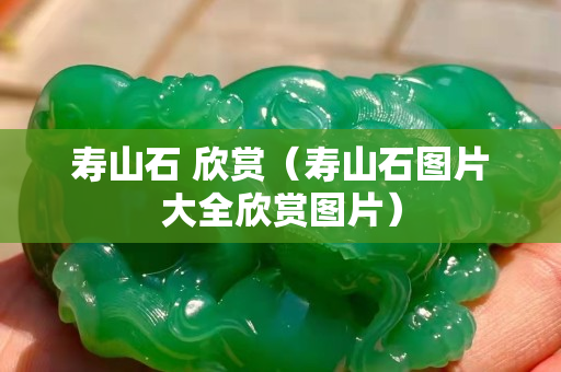 壽山石 欣賞（壽山石圖片大全欣賞圖片）