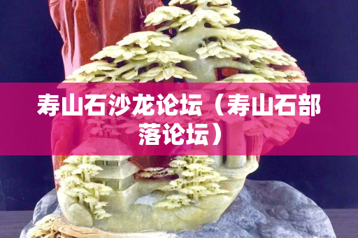 壽山石沙龍論壇（壽山石部落論壇）