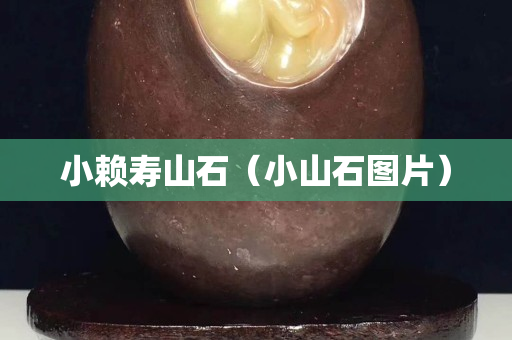 小賴壽山石（小山石圖片）