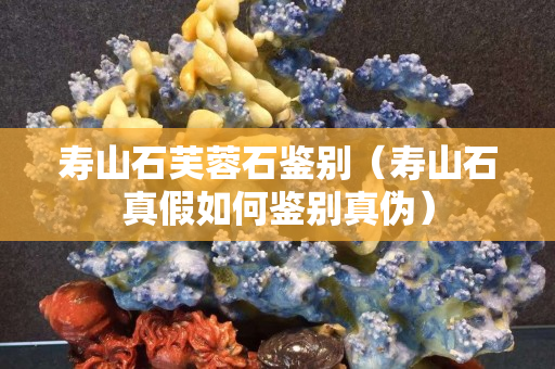 壽山石芙蓉石鑒別（壽山石真假如何鑒別真偽）