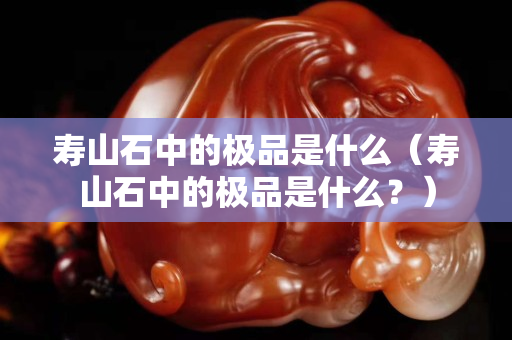 壽山石中的極品是什么（壽山石中的極品是什么？）