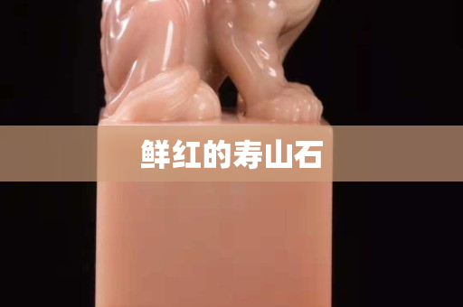 鮮紅的壽山石