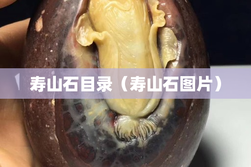 壽山石目錄（壽山石圖片）