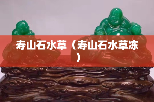 壽山石水草（壽山石水草凍）