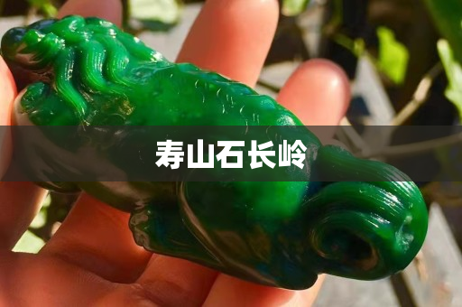 壽山石長嶺