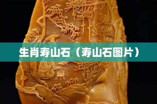 生肖壽山石（壽山石圖片）