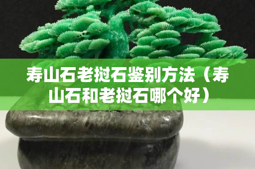 壽山石老撾石鑒別方法（壽山石和老撾石哪個好）