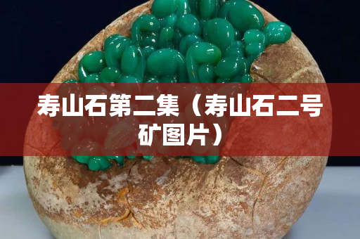 壽山石第二集（壽山石二號礦圖片）