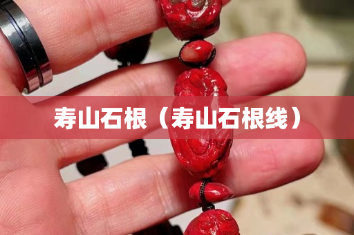 壽山石根（壽山石根線）