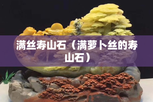 滿絲壽山石（滿蘿卜絲的壽山石）