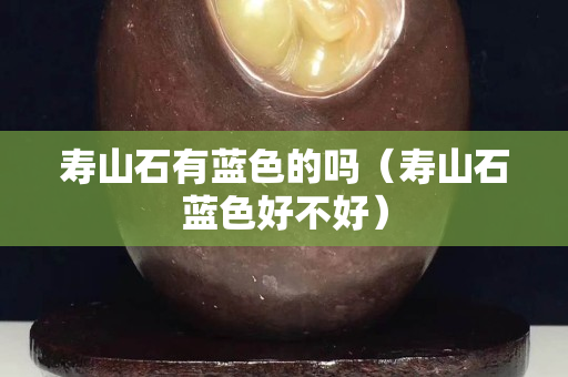 壽山石有藍(lán)色的嗎（壽山石藍(lán)色好不好）