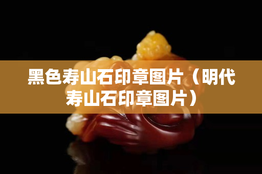黑色壽山石印章圖片（明代壽山石印章圖片）