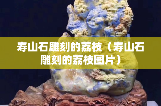 壽山石雕刻的荔枝（壽山石雕刻的荔枝圖片）