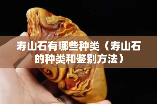 壽山石有哪些種類（壽山石的種類和鑒別方法）