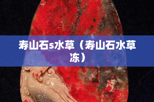 壽山石s水草（壽山石水草凍）
