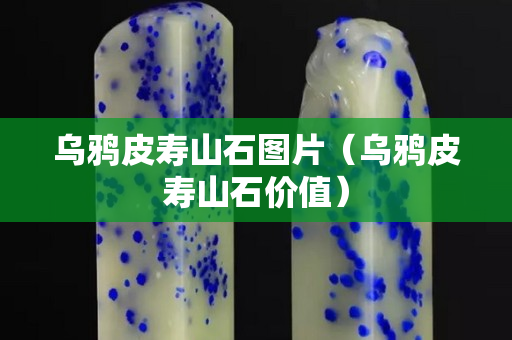 烏鴉皮壽山石圖片（烏鴉皮壽山石價(jià)值）