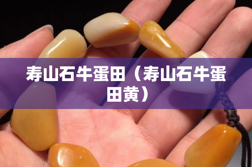 壽山石牛蛋田（壽山石牛蛋田黃）