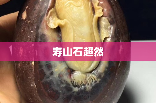 壽山石超然