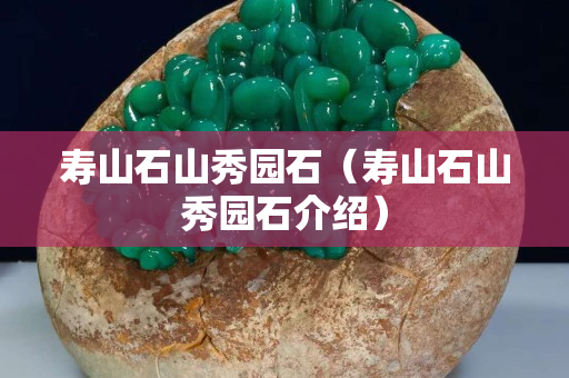 壽山石山秀園石（壽山石山秀園石介紹）