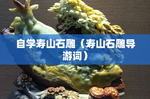 自學壽山石雕（壽山石雕導游詞）
