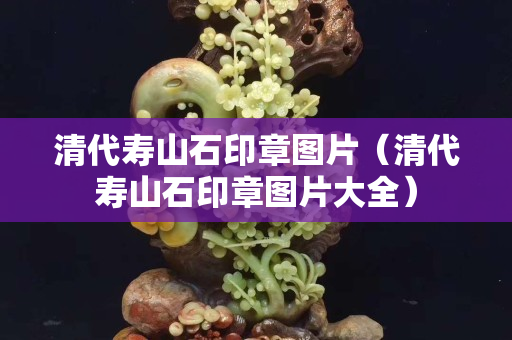 清代壽山石印章圖片（清代壽山石印章圖片大全）