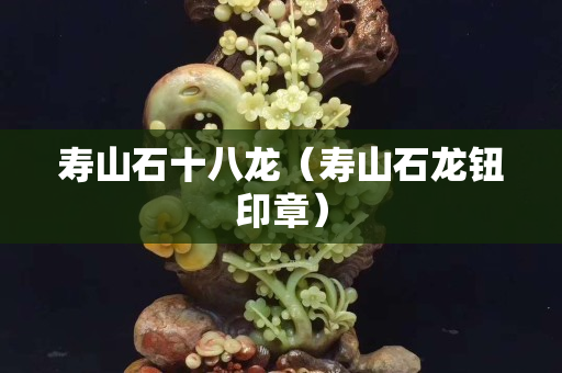 壽山石十八龍（壽山石龍鈕印章）