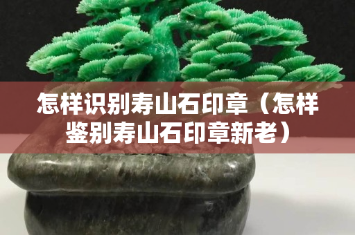 怎樣識別壽山石印章（怎樣鑒別壽山石印章新老）