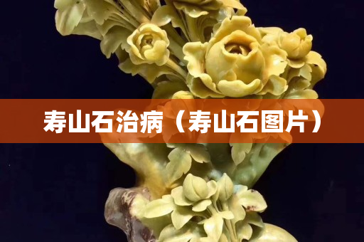 壽山石治?。▔凵绞瘓D片）