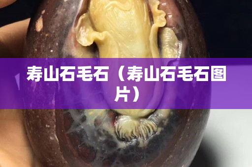 壽山石毛石（壽山石毛石圖片）