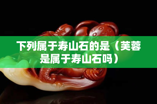 下列屬于壽山石的是（芙蓉是屬于壽山石嗎）