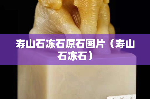 壽山石凍石原石圖片（壽山石凍石）
