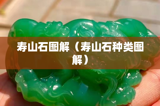 壽山石圖解（壽山石種類圖解）