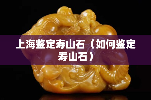 上海鑒定壽山石（如何鑒定壽山石）