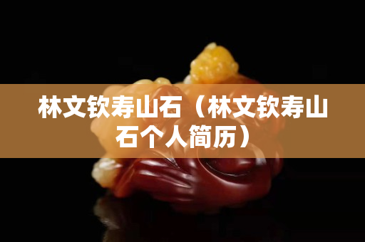 林文欽壽山石（林文欽壽山石個人簡歷）