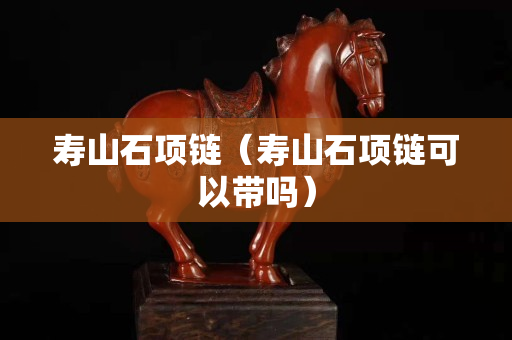 壽山石項鏈（壽山石項鏈可以帶嗎）