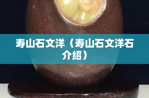 壽山石文洋（壽山石文洋石介紹）