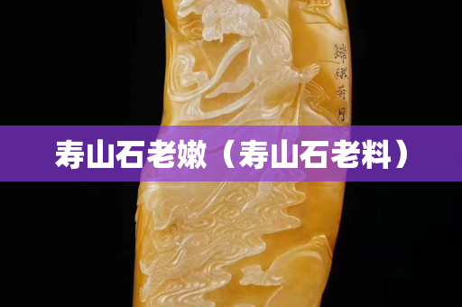 壽山石老嫩（壽山石老料）